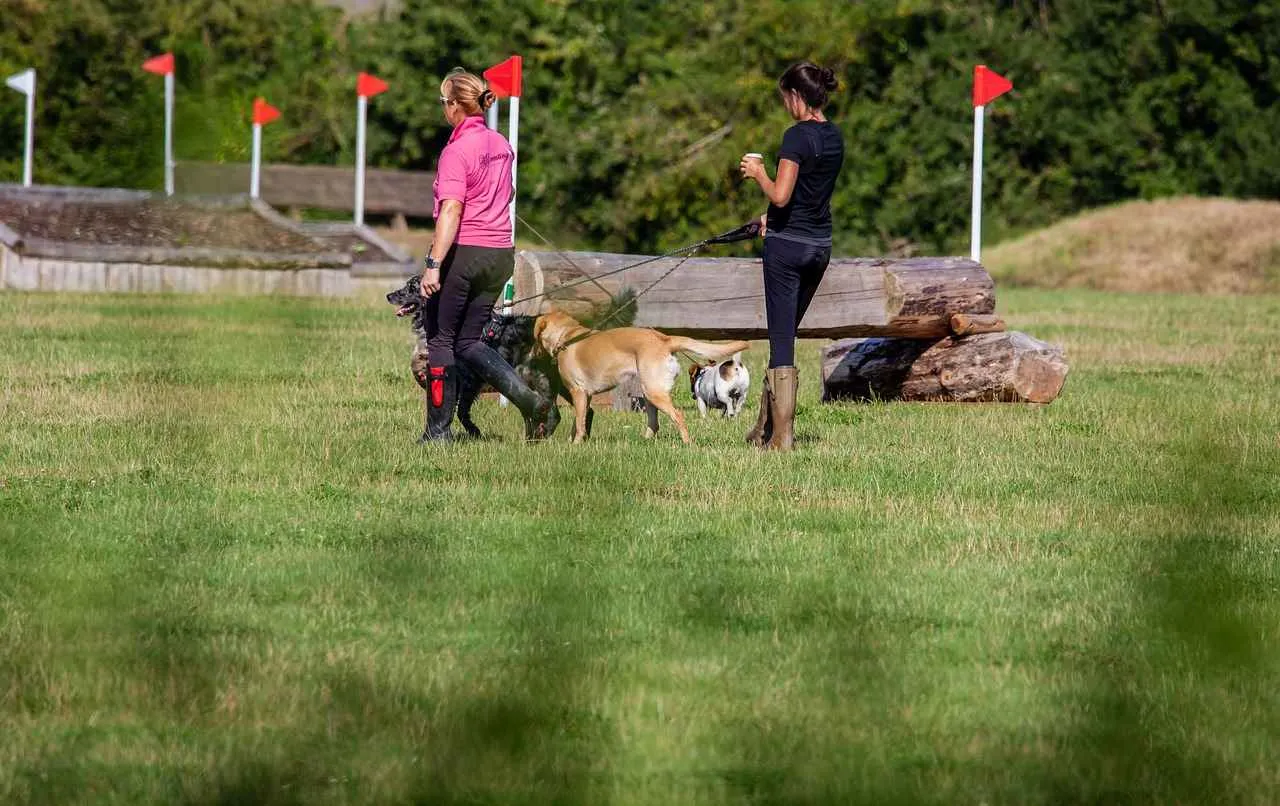 Resimli kolye ile stilinize kişilik katın Resimli kolye ile stilinize kişilik katın