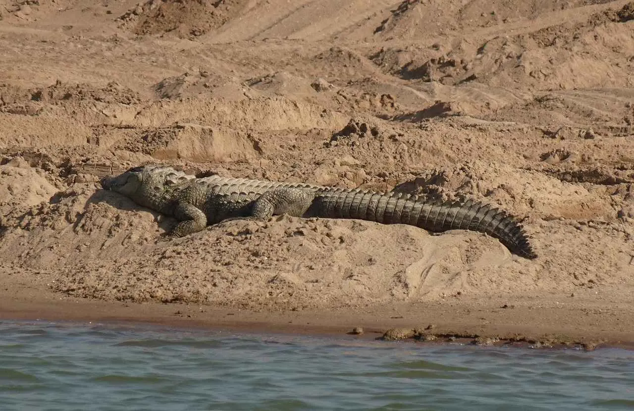 Resimli Kolye ile Tarzınızı Özgürce İfade Edin Resimli Kolye ile Tarzınızı Özgürce İfade Edin