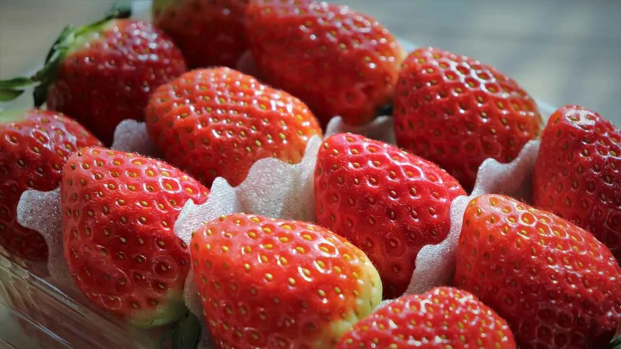 Resimli kolye yapımında en iyi ipuçları Resimli kolye yapımında en iyi ipuçları