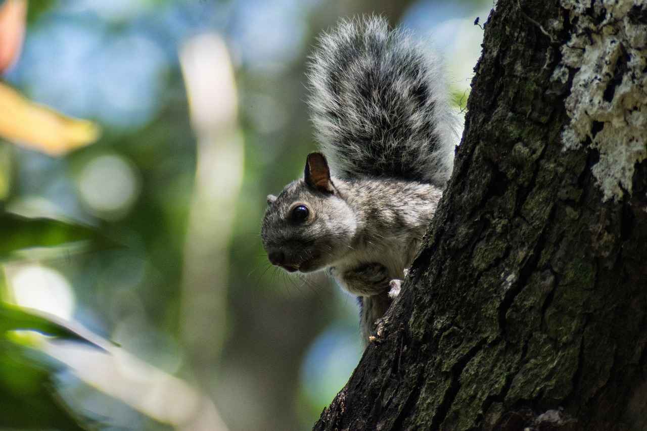 El Yapımı Resimli Kolye Satın Alırken Nelere Dikkat Edilmeli?