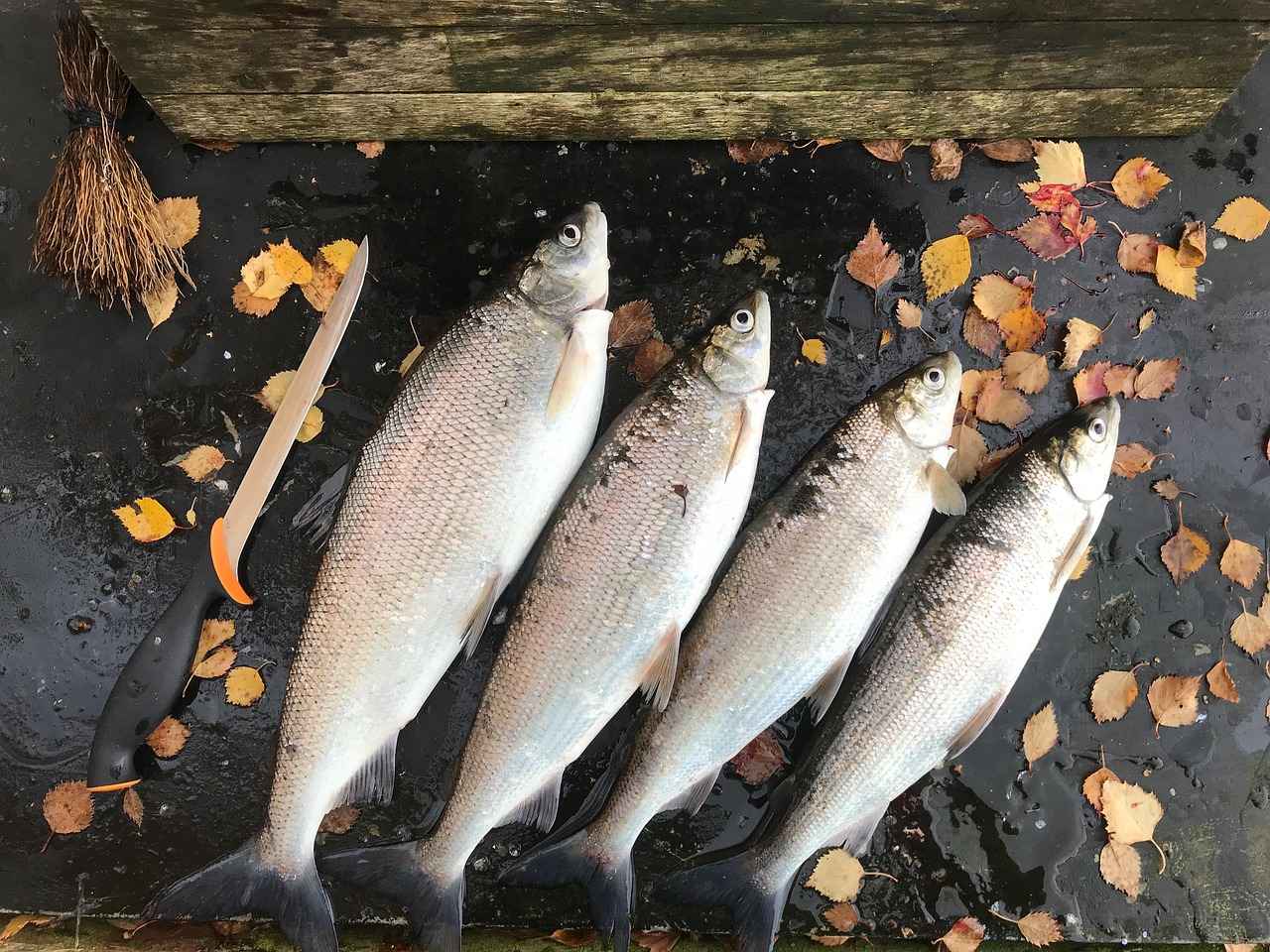 En Uygun Fiyatlı Resimli Kolye Modelleri