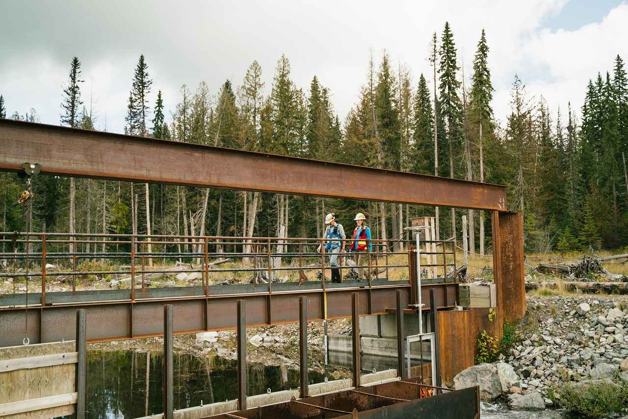 Resimli Kolye Bakımı: Uzun Ömürlü Kullanım İçin İpuçları