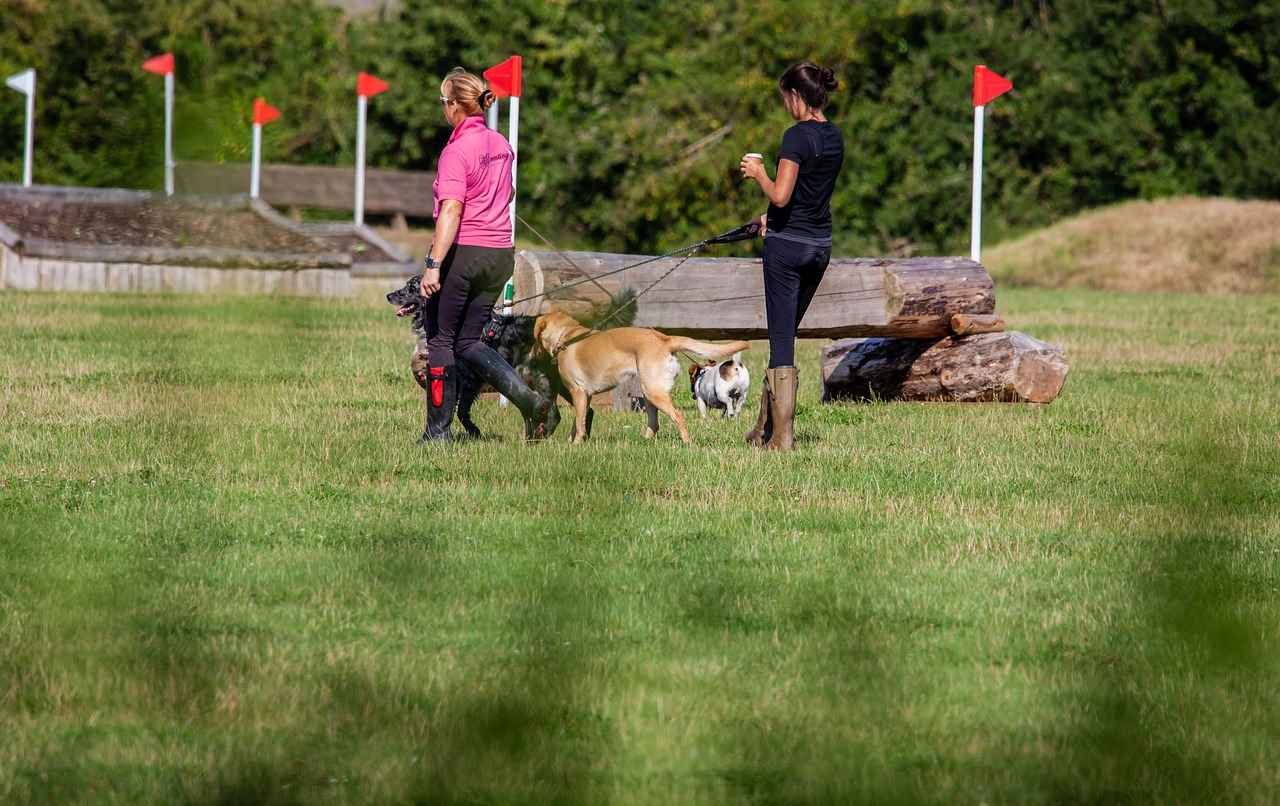 Resimli kolye ile stilinize kişilik katın