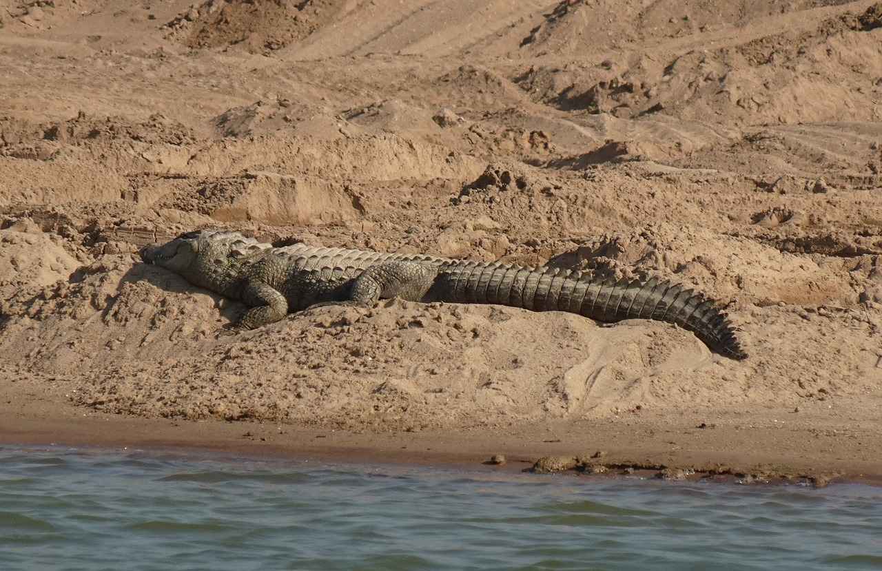 Resimli Kolye ile Tarzınızı Özgürce İfade Edin