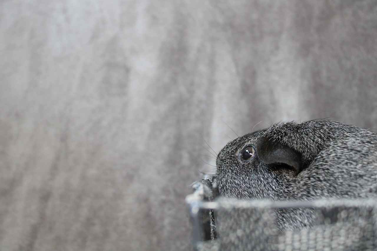Resimli Kolye Satın Alırken Doğru Mağaza Seçimi