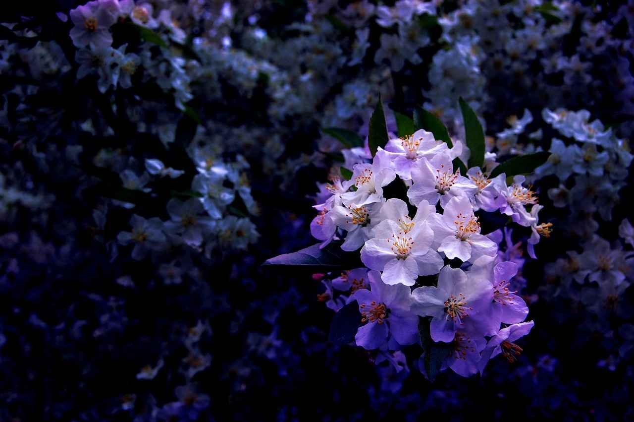 Resimli kolyelerle anılarınızı canlandırın